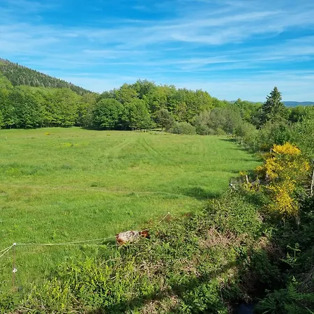 Au Coeur Des Bois * La Salvetat-sur-Agout