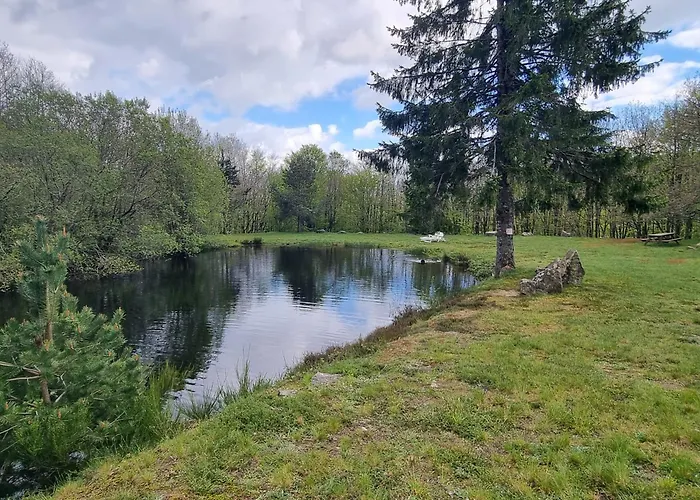 Au Coeur Des Bois * La Salvetat-sur-Agout