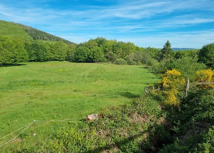 Au Coeur Des Bois * La Salvetat-sur-Agout